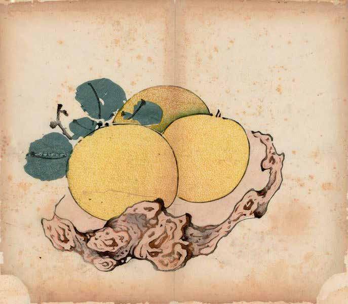 Three Oranges on Knotted Stand, woodblock print by Hu Zhengyan, ca.