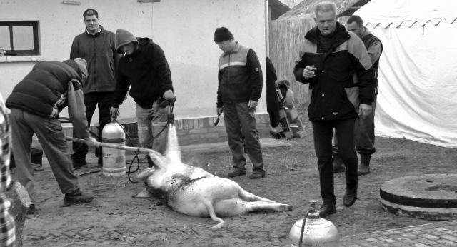 A polgárőrök bográcsukban pörköltet főztek és üstben forrt a finom leves. Rengeteg töltött káposzta is készült, az asszonyok alig győzték a húst levélbe göngyölgetni.