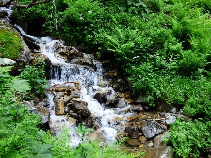 Az eddig csak az órákon megismert Natura2000-es élőhelyeken járva, szembetűnő volt az élőhelyek feltűnő gazdagsága és az idegenhonos fajok hiánya.