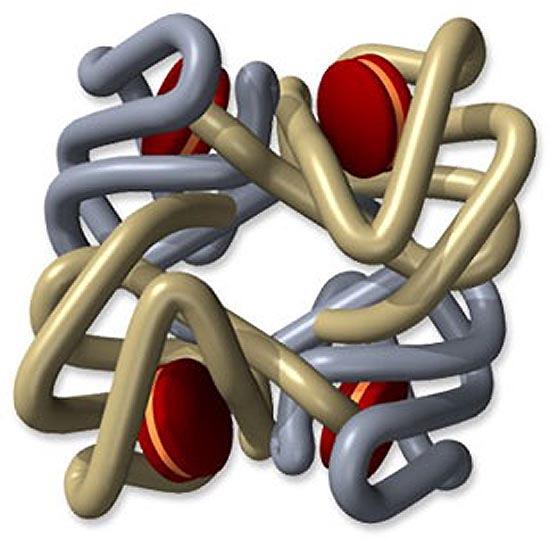 Hemolitikus anaemiák corpusculáris formák II. Enzim hiányok Glucose-6-phosphate dehydrogenase 200 millió embert érint a világon!