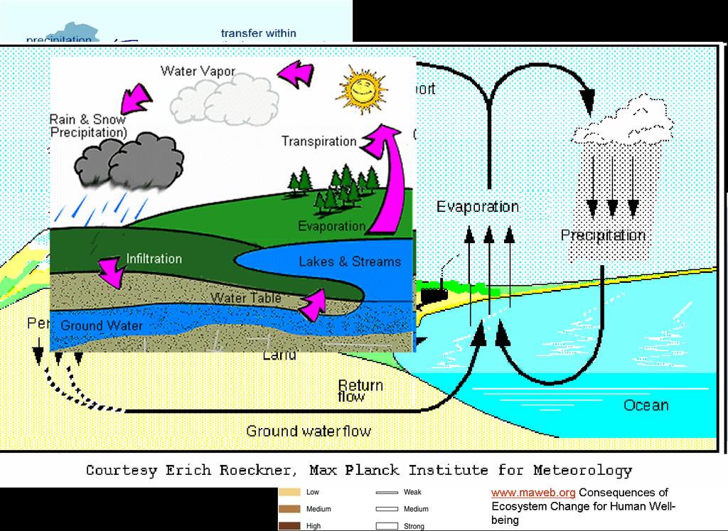 A klíma temperálása összekapcsolódik a természetes párologtatás képességével A vízfolyások vízhozama a talaj nedvesség