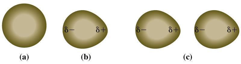 Pillanatnyi és indukált dipól Apoláros atomokban (a) spontán keletkezik dipól (b) Dipól egy másik atom
