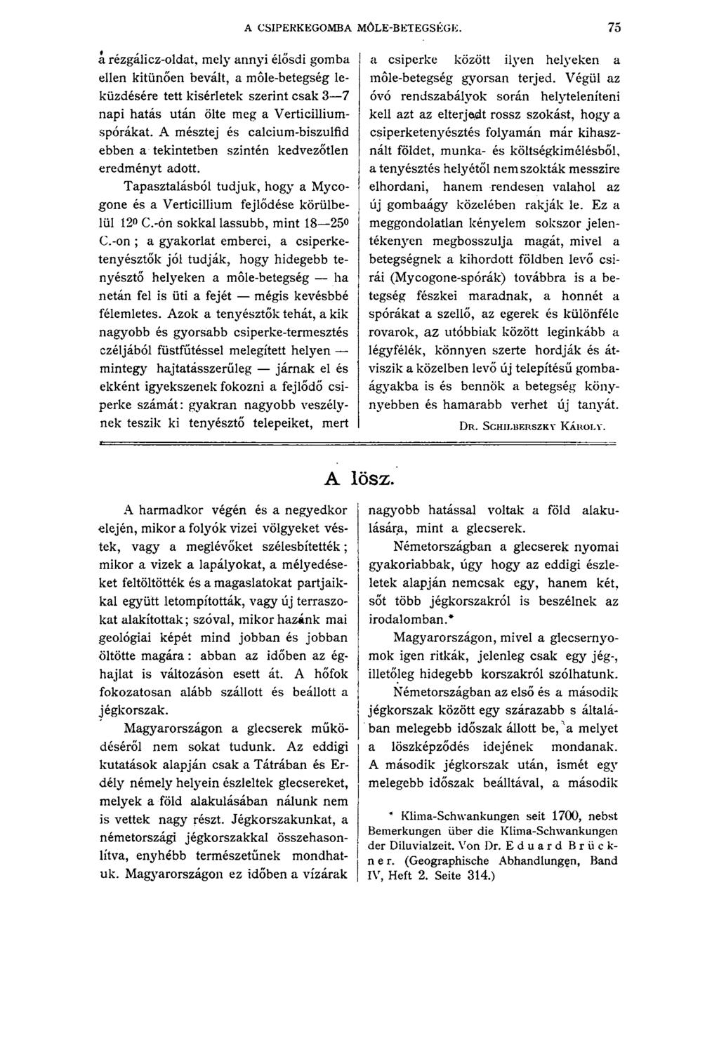 A CSIPERKEGOMBA MÓLE-BETEGSÉGE.