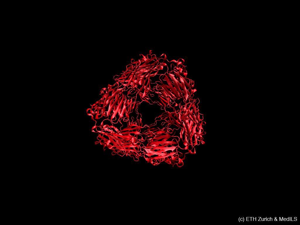 Érdekes fehérjék An army of emergency doctors cares for the health of the proteins in each cell Legend: The small heat shock protein a chaperone ne of the most severe dangers for a cell is the loss