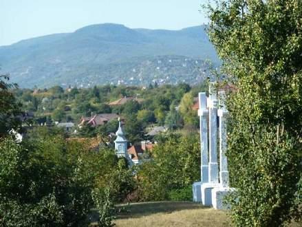 A D A T L A P Település neve Budakalász Megye Pest Jelzet Bk-10 Elızmény 2002-2003-as felmérés Nemzeti park igazgatóság Egyedi tájérték megnevezése Fı típus Típus(ok) Alaptípus(ok) Fajta (fajták)