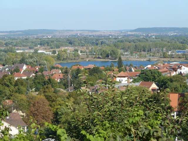 A D A T L A P Település neve Budakalász Megye Pest Jelzet Bk-80 Elızmény Nemzeti park igazgatóság Egyedi tájérték megnevezése DINPI Panoráma út (Gerinc út) Fı típus Típus(ok) Alaptípus(ok) Tájképi