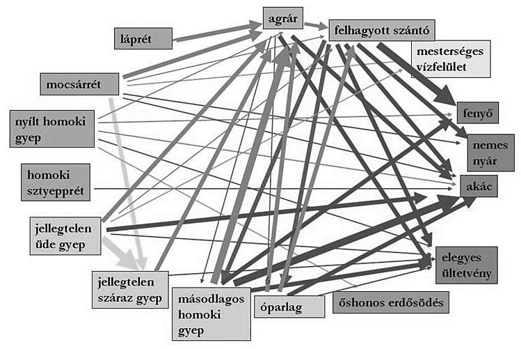 368 Biró M. 3. ábra Az élőhelyek átalakulásának irányai a nyolc kiválasztott homokhátsági kvadrát területén belül. A tendenciák erősségét a nyilak vastagságával jelöltük.