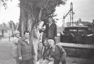 226 cm-es 85 kilós harcsa (1990) Zsinkai Antal, Farkas János, Zsiborács Imre és Gereben László Tamás István, a szerencsés horgász A horgászok közül jó eredménnyel a most 53 éves Tamás István, ahogy