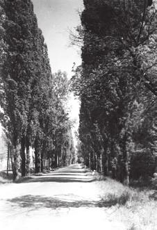 Sándortelep központja (1930-as évek eleje) 72 A Fonyódra