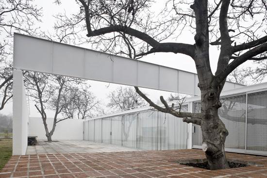 SMILJAN RADIC Chile,
