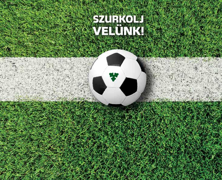 BORSODI VILÁGOS, JEGES, TÜZES * Ft/db, VÁSÁROLJ