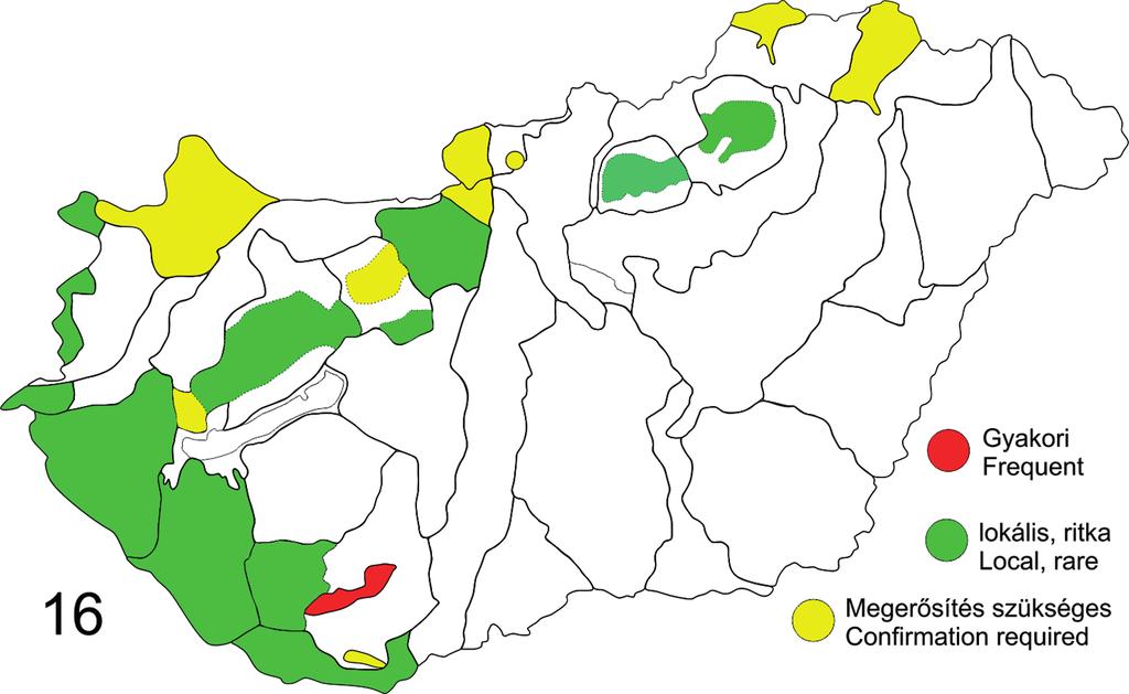 170 Natura Somogyiensis 16. ábra: Az Eupithecia orphnata magyarországi elterjedése Kazahsztánon át a Kaukázus és Észak-Anatólia hegyvidékéig relatíve kontinuus areát mutat.
