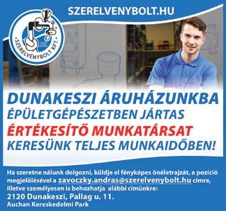(Dunakeszi, Pallag u. 11