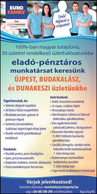 ) Előny: kreativitás tervező program használatának ismerete lakberendezői tudás angol nyelvismeret Elvárások: alapvető számítógépes ismeretek (word, excel, e-mail,) jó kommunikációs képesség pontos,