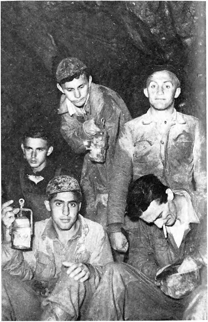 Az 1957 58 évi választáson a Zsombolykutató Szakosztály elnökének Oszvald Györgyöt, titkárának Láner Olivért választják meg.