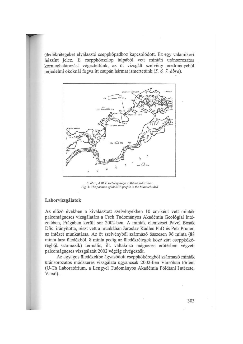 üledékrétegeket elválasztó cseppkőpadhoz kapcsolódott. Ez egy valamikori felszínt jelez.