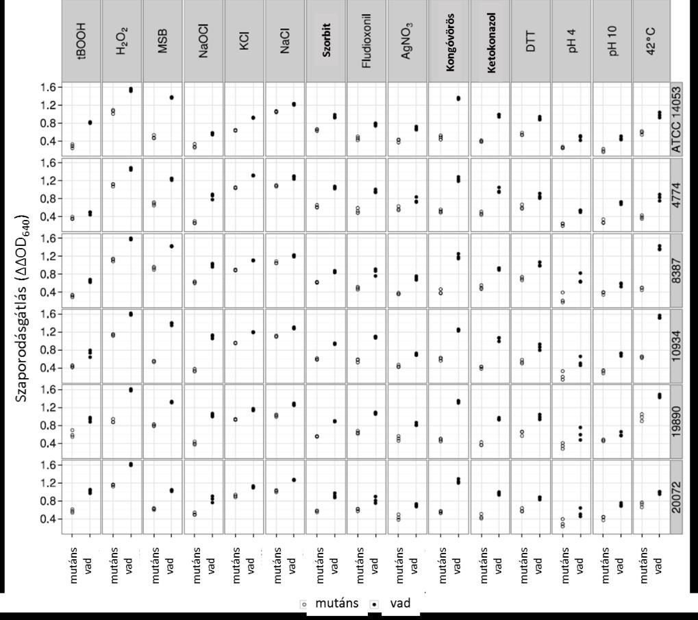 9.ábra A tbooh toleráns C. albicans mutáns (szürke karika) és a megfelelő szülői (fekete pontok) törzsek vizsgálatánál alkalmazott stressz generáló ágensek okozta sejtszaporodás gátlásai.
