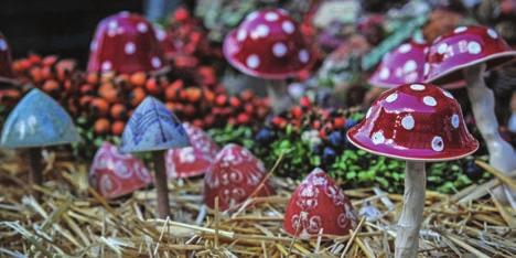 Szeptember 16. (vasárnap) 16:00 Cinegemadár Tolna Megyei Népzenei Verseny gálaműsor Vármegyeháza udvara A 2018.