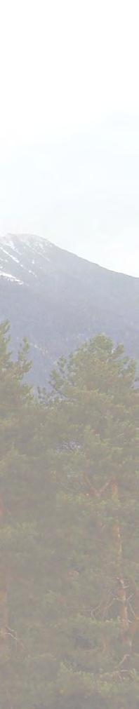 Pesem nas je ponesla v višave, zato je sledilo podeljevanje priznanj za dosežene rezultate. Na odru se je zvrstilo veliko mladih upov, pomembnih Supervisorjev. Ti so novi temelj našega posla.