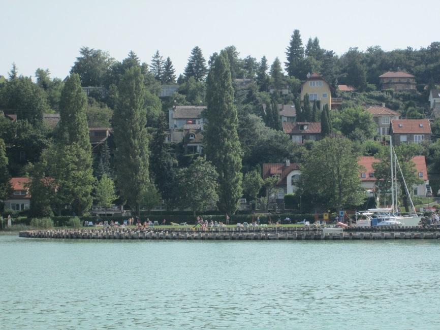Az előtérben a mesterséges nádas