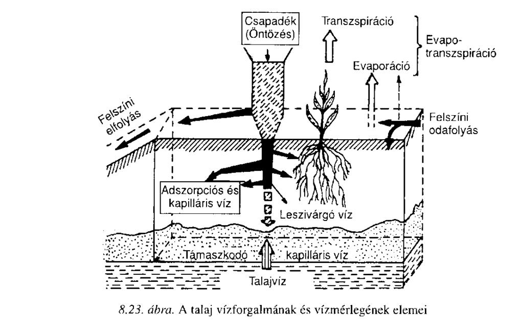 Talaj-víz-növény A talaj vízforgalmával