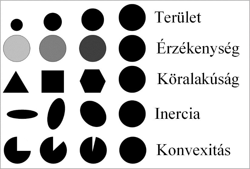 A felhasznált eszközök A SimpleBlobDetector egy olyan beépített osztály az OpenCV-n belül, ami képeken 5 paraméter alapján talál meg pixel-halmazokat [23].