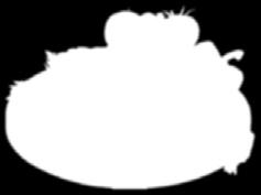 500g, gyorsfagyasztott 1,95 39.