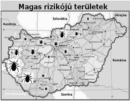 Grafikus ábrázolás Piktogram: figurális ábrázolás, mely a jelenséget megtestesítő