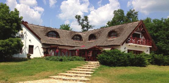 Koppány Fogadó Debrecen svédasztalos reggeli korlátlan wellnesshasználat (fedett úszómedence, szauna, jakuzzi) Harmadik, negyedik fő többágyas szobában: 11 000 Ft/2 éj Félpanzió felára: 5000 Ft/fő/2