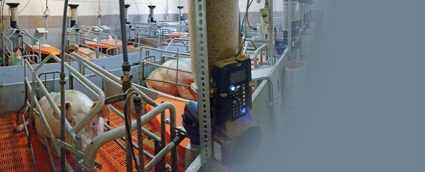 SERTÉS takarmányozás Úgy gondoljuk, hogy a takarmány keverőüzem-vezetőnek ismernie kell annak az állatfajnak a tulajdonságait, illetve a legyártandó takarmány jellemzőit, amelynek számára a