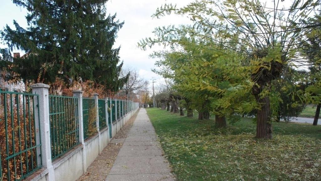 47 Az iskola mellett, fásított területen indult el egy pavilonos