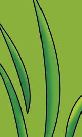 GYAKORLAT Élet a SUSE Linuxszal Böngészés szabadon Nyíltan kimondhatjuk, a WLAN eddig gyenge pontja volt az OpenSUSE Linuxnak. Kipróbáltuk, áll-e még ez a kijelentés a legújabb, 10.3-as SUSE-ra.