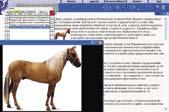 005-ben kapta meg a Britannica-termékek megjelentetéséhez fűződő jogokat.