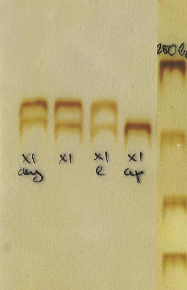 c, 20