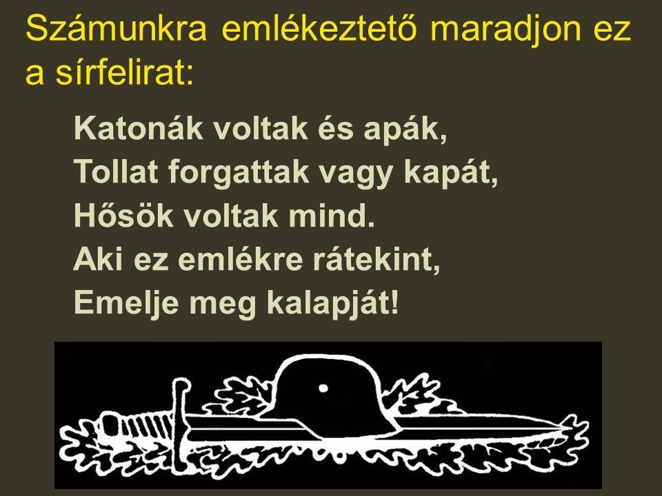 kép: A THHB tevékenységét bemutató