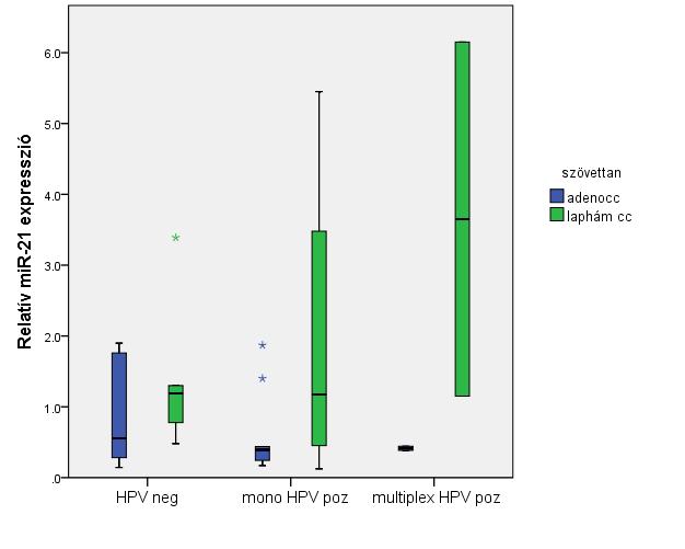 11. ábra: Relatív mir-21 expresszió eltérő HPV státuszú cervixdaganatok esetén hisztológia függvényében.