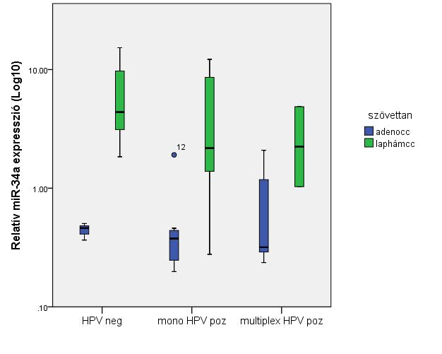 13. ábra: Az eltérő hisztológiájú méhnyakdaganatok relatív mir-34a expressziós értékeinek medián értéke HR HPV pozitivitás