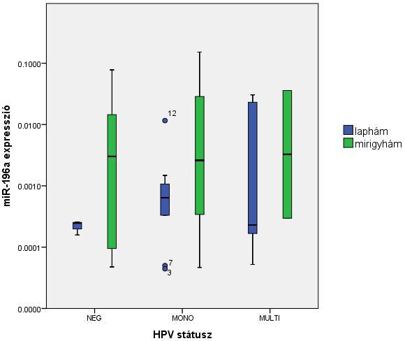 16. ábra: Relatív mir-196a expresszió eltérő HPV státuszú cervixdaganatok esetén hisztológia függvényében MiR-203 expresszió vonatkozásában enyhén, de