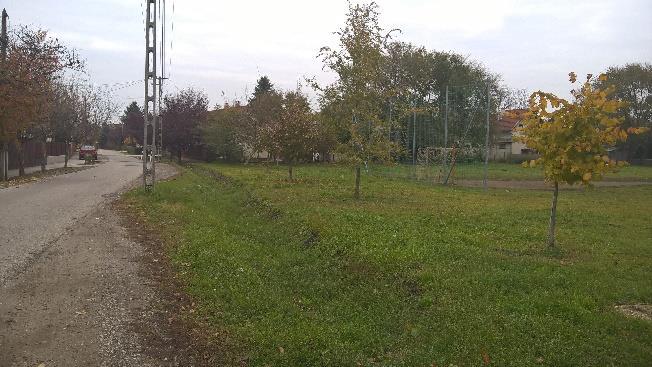 idősebb fákkal Szomszédok által
