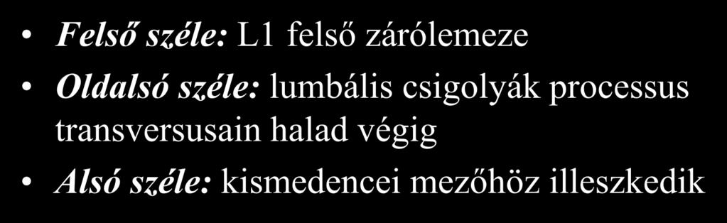 Paraaortikus mező határai Felső széle: L1 felső zárólemeze Oldalsó széle: lumbális