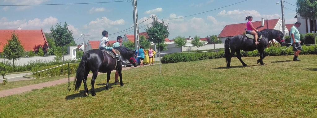 Közélet -6- SOMLÓI PIKNIKEN AZ ŐSZI FÉNY NYUGDÍJAS KLUB Csoportkép a Soós házaspár szőlőbirtokán Fotó: Czeidli József Az Őszi Fény Nyugdíjas Klub tagjai idén is pikniket tartottak klubtársaik, a Soós