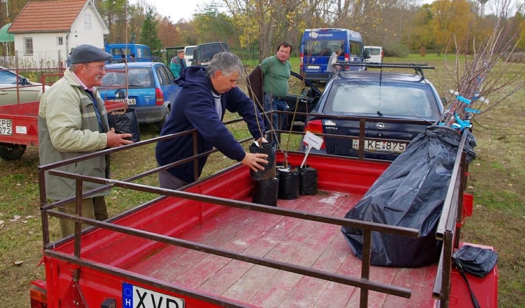 szállítás) a Jelentkező költségére és kockázatára