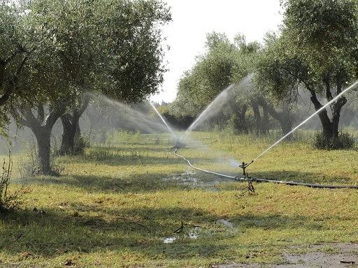 tovább fenntartani a gyümölcsös kertet, köteles tájékoztatni a