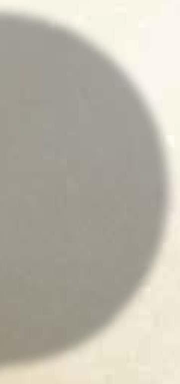 BONTOTT