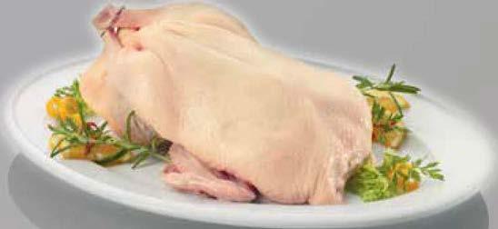 PECSENYEKACSA