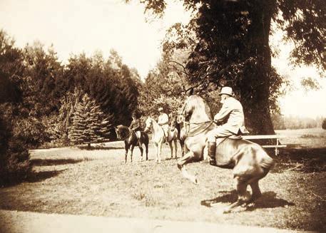 apoteózisa című pannót 1890-ben elhelyezték a bécsi Kunsthistorisches Museum lépcsőházában, a festő megkapta Magyarországtól az oly régen várt feladatot.