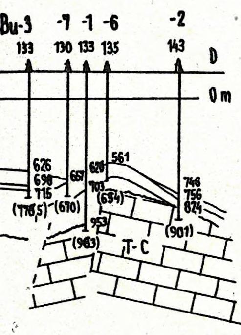 képviselik.' Eocén/?/ a Bu-8 fúrásban az előbbi rétegsor alatt 30 m vastag kemény mészkőréteg van, amely barnásszürke, tömött, kalciteres kőzet, őslények nem kerültek elő belőle.