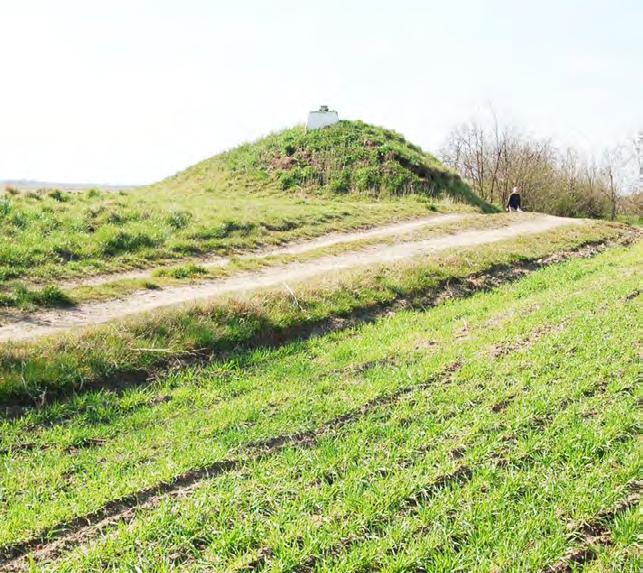 f) pont szerinti definíciónak megfelelő, a Mezőgazdasági Parcella Azonosító Rendszerben meghatározott és feltüntetett területi kiterjedéssel rendelkező objektum. A rendelet 1.