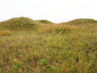 A Kiskunsági Nemzeti Park Igazgatóság működési területén viszont nem vállalkozhatunk arra, hogy meghatározást adjunk a mesterséges halmok keletkezésének korára vonatkozóan, hiszen térségünk halmainak