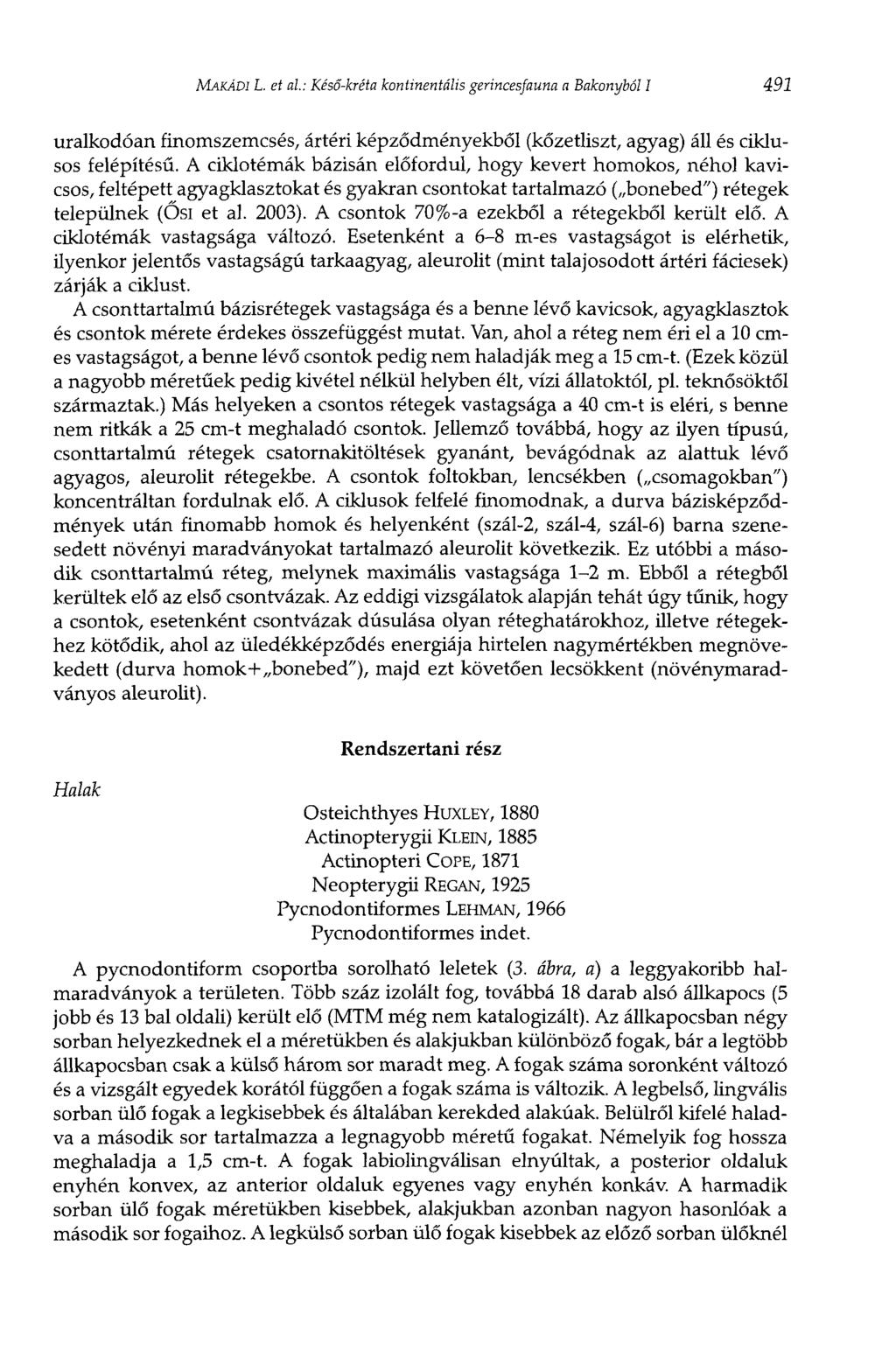 MAKÁDI L. et al: Késő-kréta kontinentális gerincesfauna a Bakonyból I 491 uralkodóan finomszemcsés, ártéri képződményekből (kőzetliszt, agyag) áll és ciklusos felépítésű.